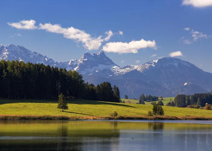 Alpflower Halblech