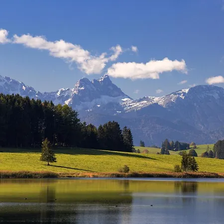 Alpflower Halblech